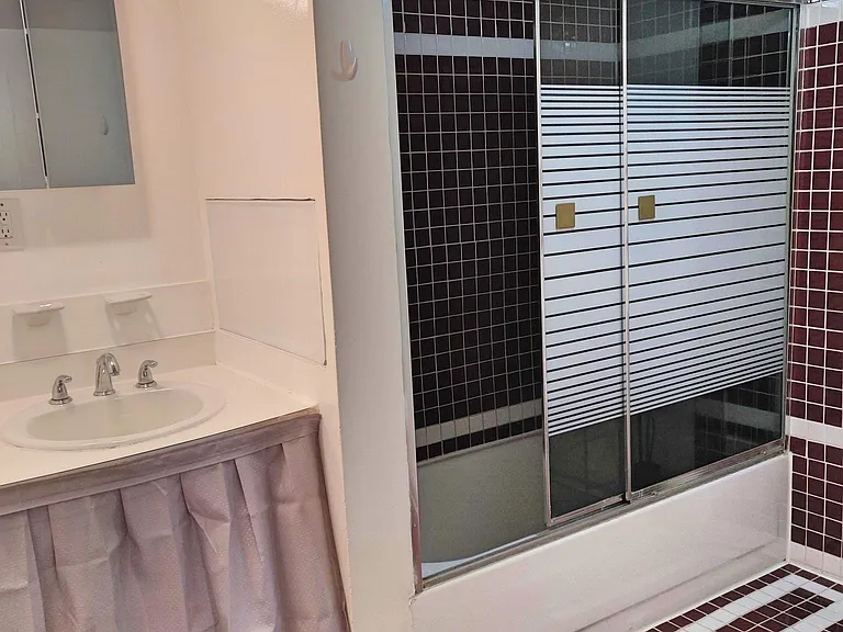 Bathroom sink and shower