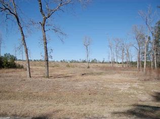 4111 Balsam Fir Ln, Spring, TX 77386