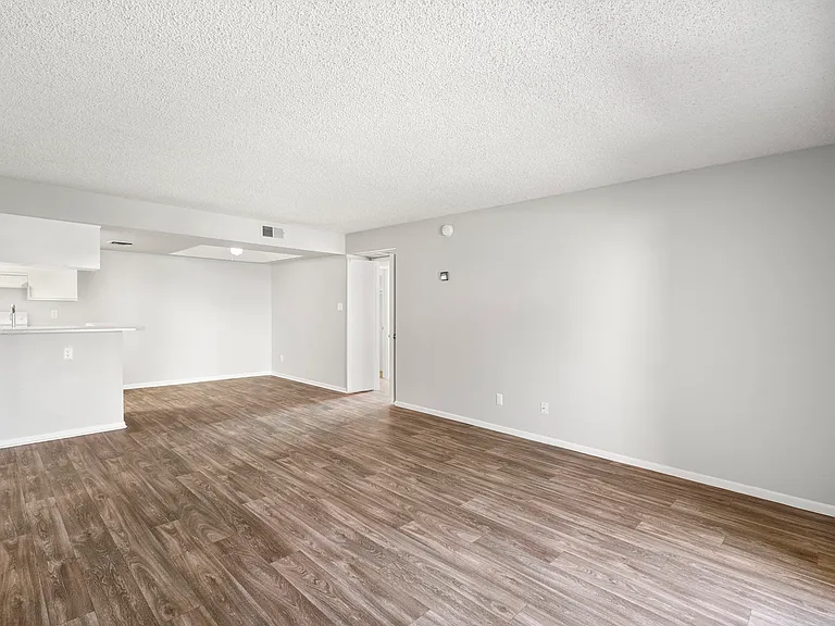 Spacious Living Room
