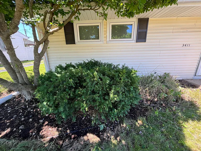 3411 Whitcomb Ave — Photo 43