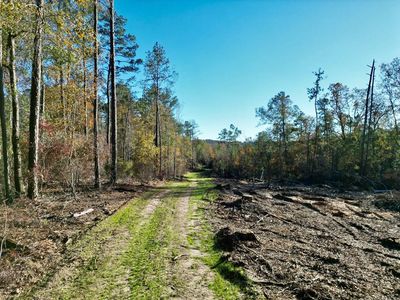 0 County Road 7752, Troy, AL, 36081