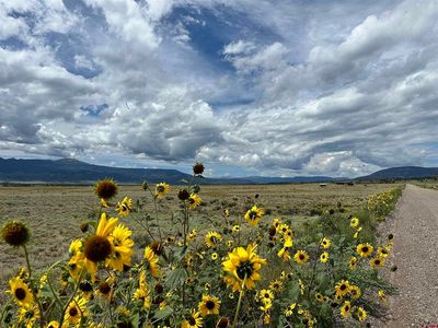 TBD County Road 71, Del Norte, CO, 81132