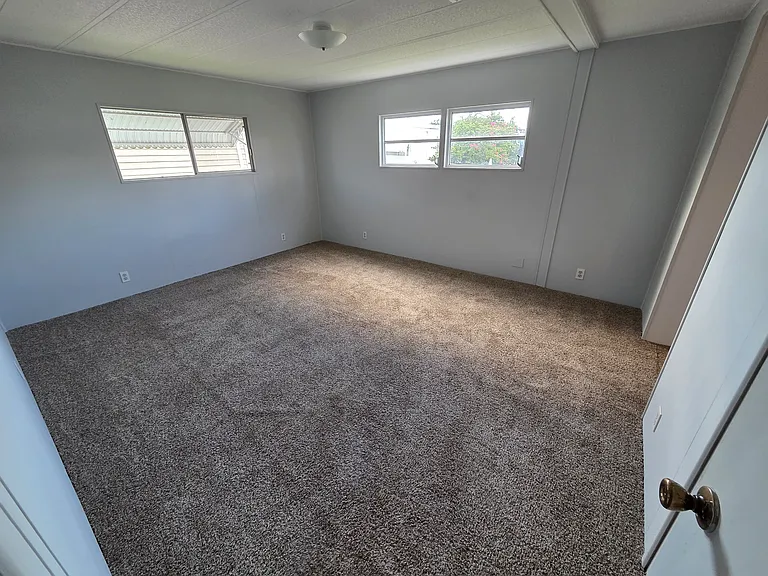 253 Sago Palm St — Photo 5