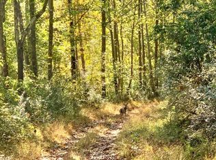 511 Turkey Bear Ln, Buckhannon, WV 26201