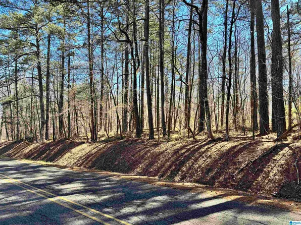 LOT 1 Morton Rd #1, Warrior, AL 35180