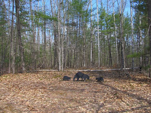 5th image of 6598 Spens Rd