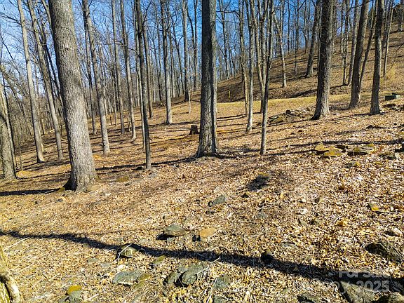 3rd image of 99999 Old Forest Dr #2CR