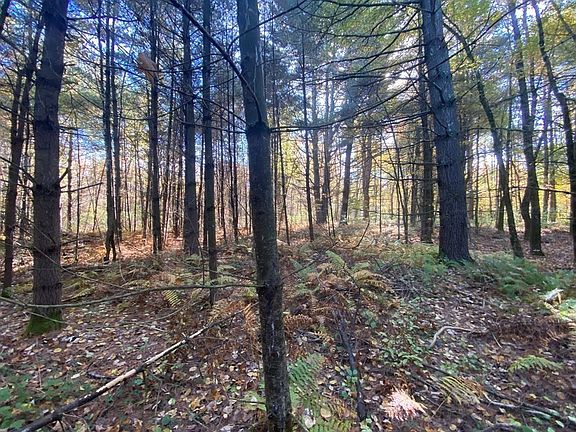 3rd image of 0 Michael Sears Rd Lot 2B