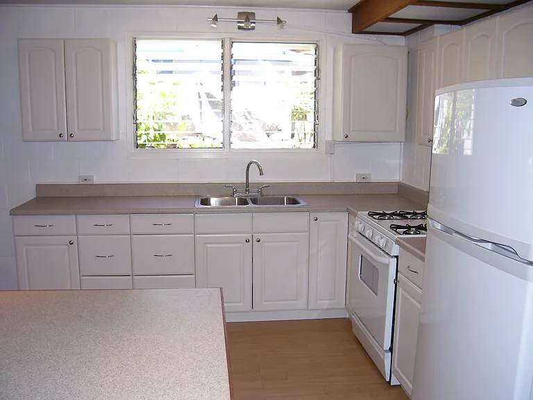 3219 Pahoa Ave — Photo 5