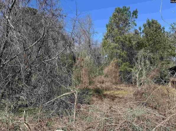 97 Charmont Dr, Columbia, SC 29223