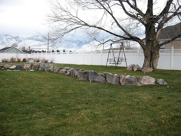 Backyard with mature tree