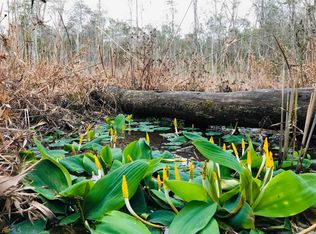 259 Robinson Rd, Butler, GA 31006