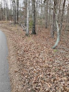 0 Willie West Rd #21, Canton, GA, 30114
