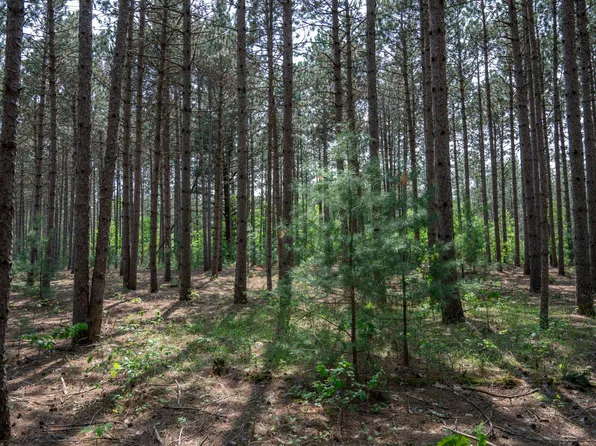 W4250 Mays Point Rd, Necedah, WI 54646