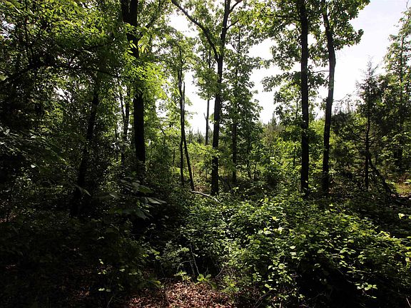 4th image of 0 Baylor House Rd