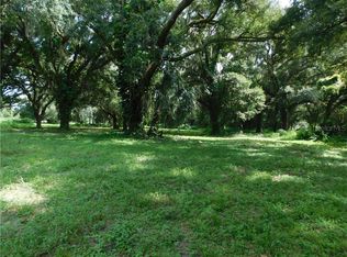 8704 Carey Rd, Lithia, FL 33547