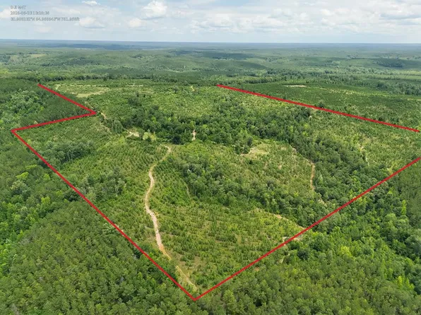 1 Lower Lumpkin Rd, Georgetown, GA 39854