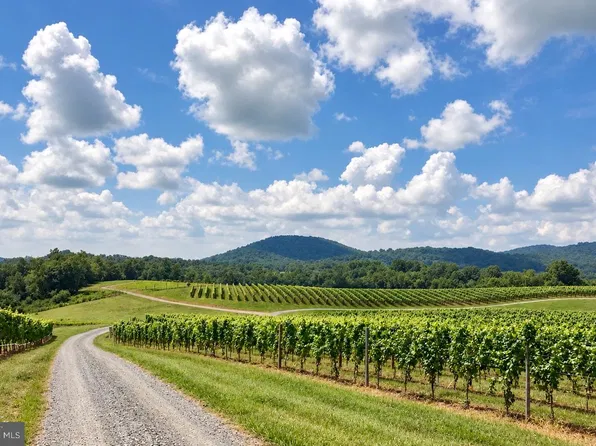 51 Vineyard Ln, Woodville, VA 22749