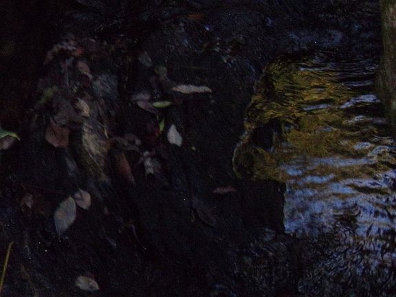 3rd image of 0 Oldham Creek Rd