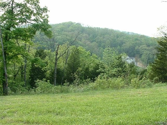 Lot 65 Augusta Shores.  This lot has a view of the large lake, Hickory Lake, as well as a smaller lake, Lake Chardonnay.  This is the back of the lot from North High Post Road which would be the best place to put a driveway.  The front of the lot borders 