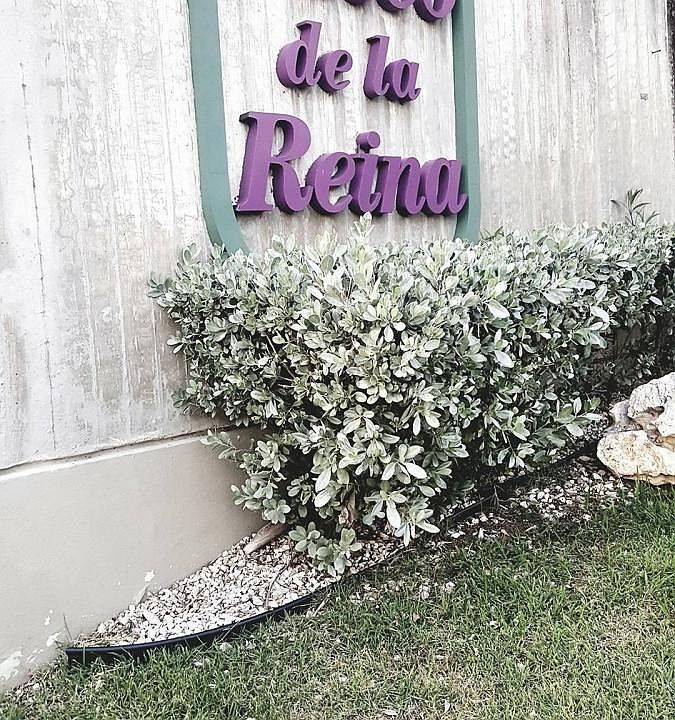 1st image of 1403 Paseo De La Reina
