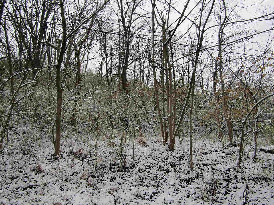 2nd image of Tower Hill Rd