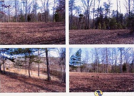 2nd image of 301 River Falls Dr