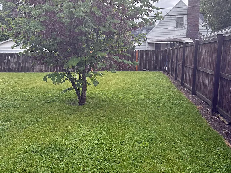 large fenced in backyard