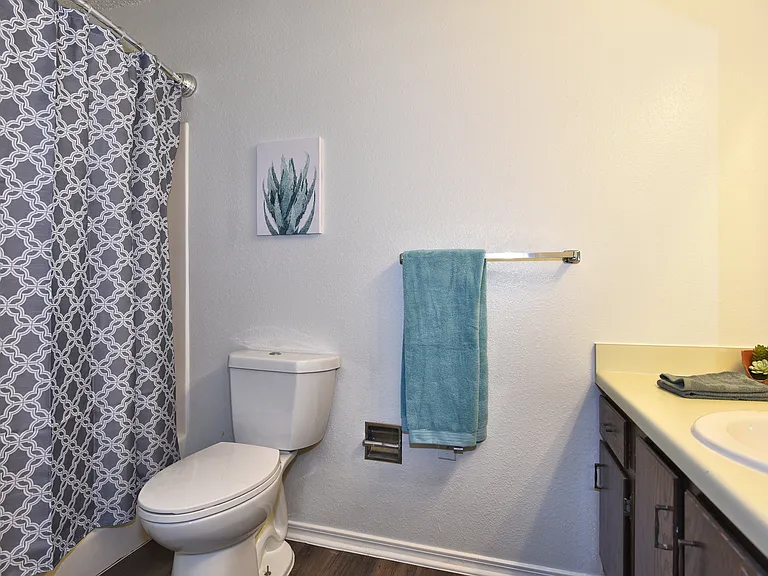 Shady Hollow Apartments — Photo 29