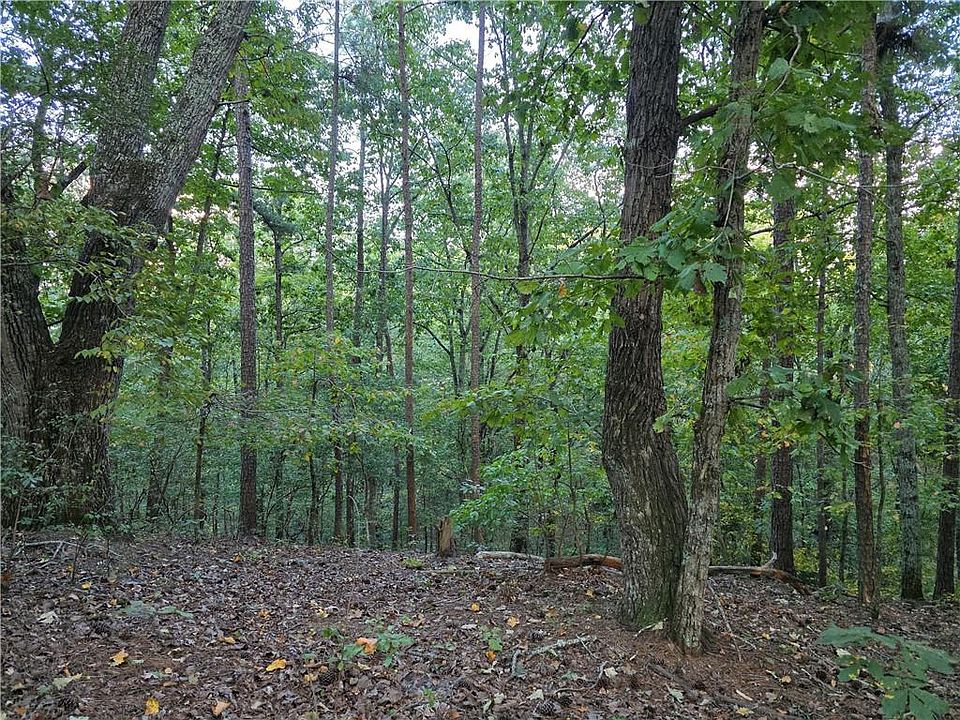 2nd image of 0 Old Goodie Mountain Rd SE #3