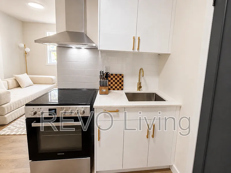 62 Triller Ave #206