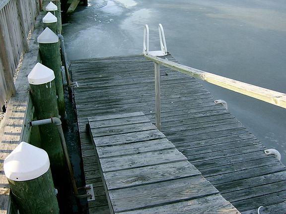 Floating Dock