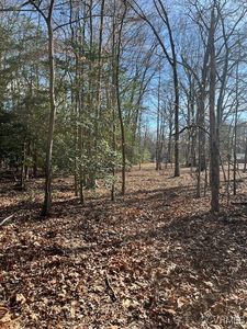 0 Anderson Ct Lot 81, Montpelier, VA, 23192