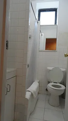 Rented by Manhattan Flats | media 8