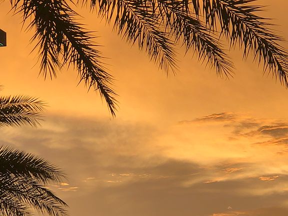Sunset from pool deck