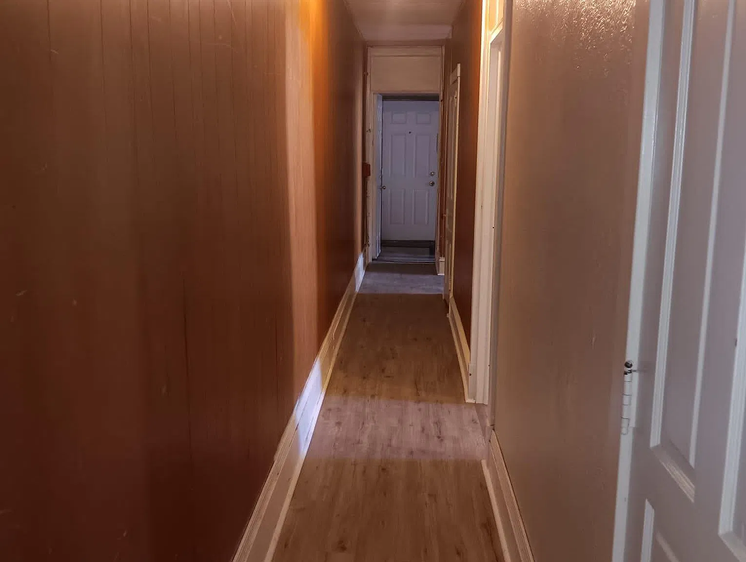2 bed, 800 sqft, $1,400 — Photo 4
