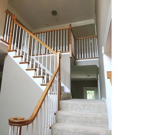 5th image of 806 Craig Forest Ln