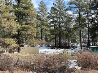 201 Spruce Cir, Pagosa Springs, CO 81147