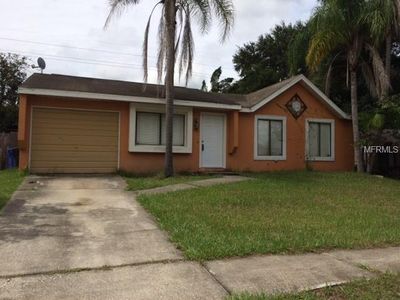 1211 Piney Branch Cir, Valrico, FL, 33594