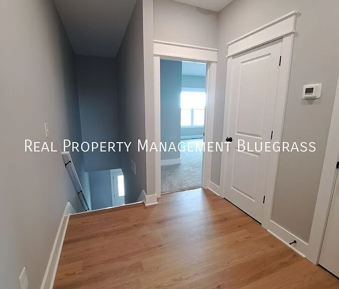 2507 Spring Leaf Ct — Photo 16