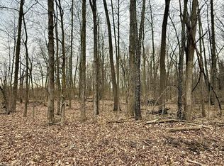 E Tyrrell Rd, Morrice, MI 48857