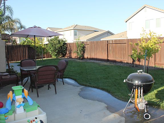 Backyard lawn