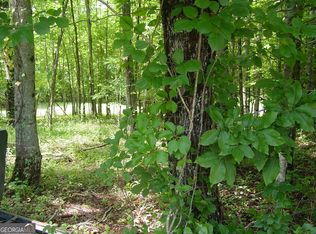 13 Dan Knob Dr, Hayesville, NC 28904