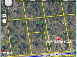 Rock Duck Ave, Weeki wachee, FL 34614