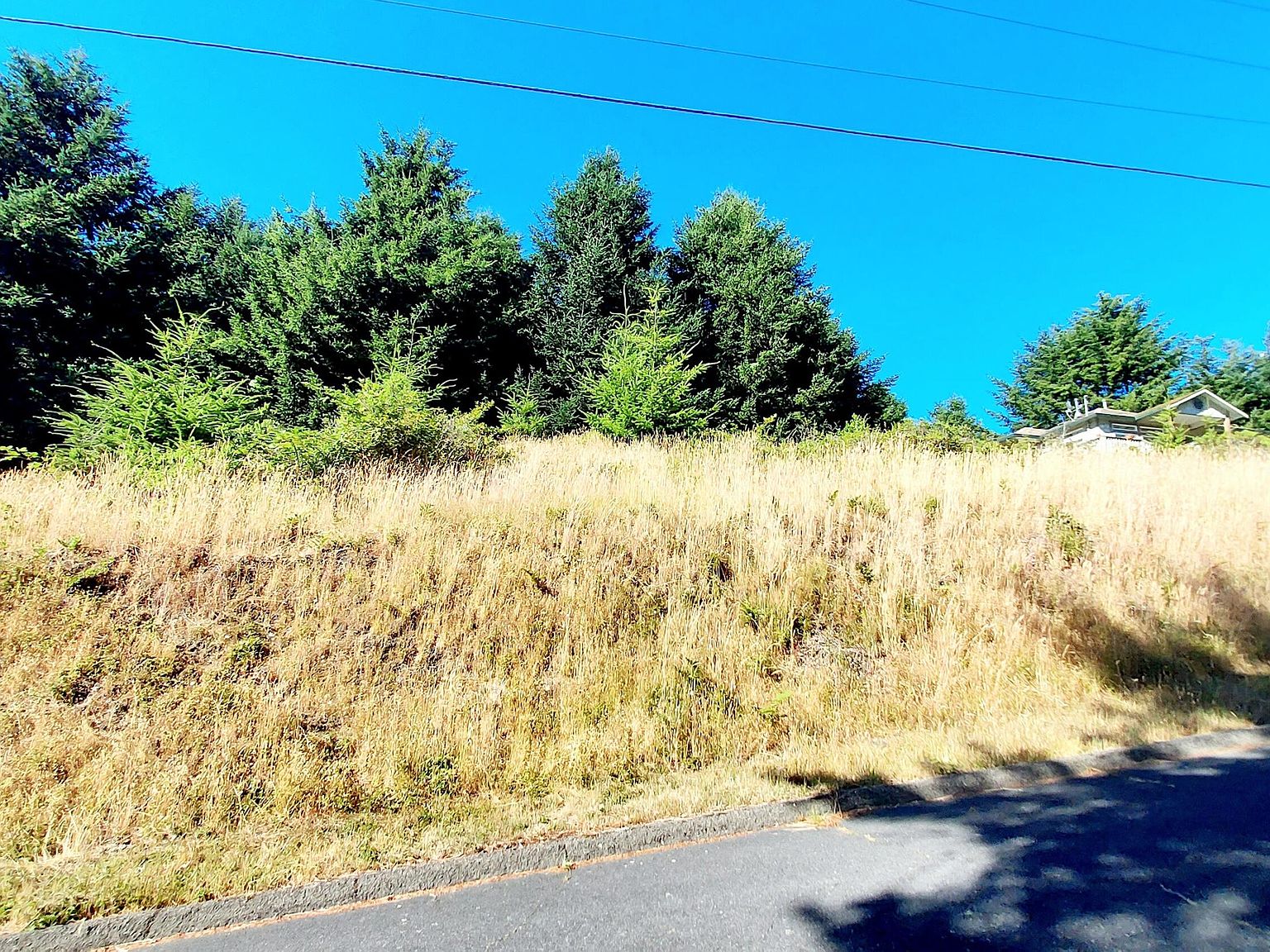 105 Debbie Ln, Whitethorn, CA 95589 MLS 266521 Zillow