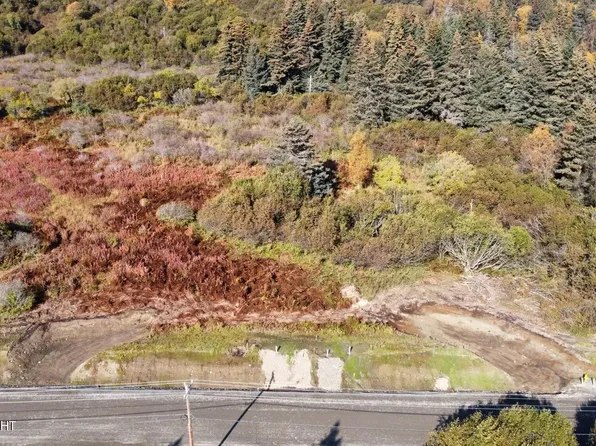 L6 W Fairview Ave, Homer, AK 99603