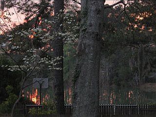 1st image of 2506 N Sherwood Dr