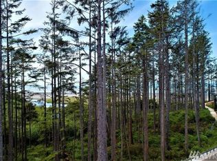 69 Seaside Ln, Pacific Beach, WA 98571