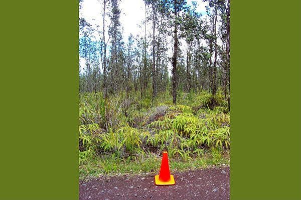 Approximate left hand boundary of lot 3180