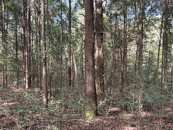 3rd image of 0 Bowden Rd
